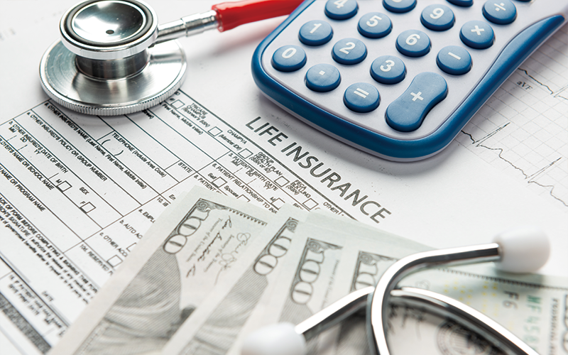 펫보험 보장 범위 상세 분석