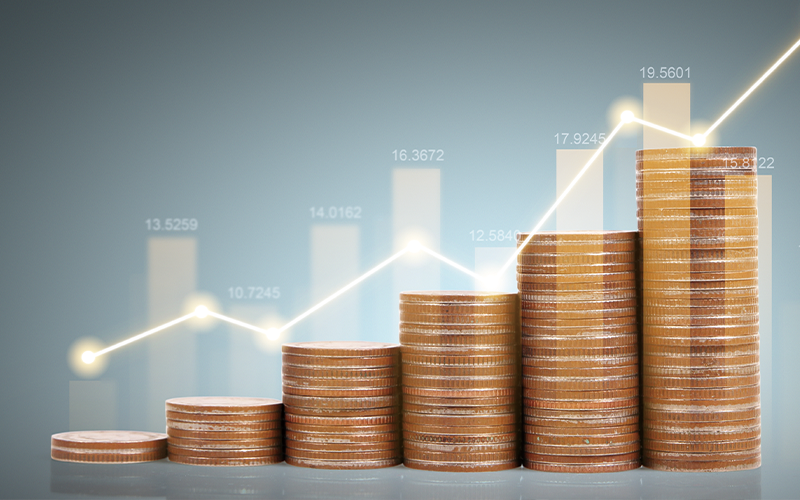 펫보험 갱신 시 보험료 변동 요인