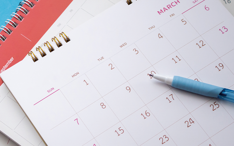 펫보험 가입 최적 시기